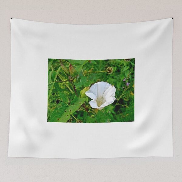 Item preview, Come In To My Parlor  designed and sold by Paul Lubaczewski.