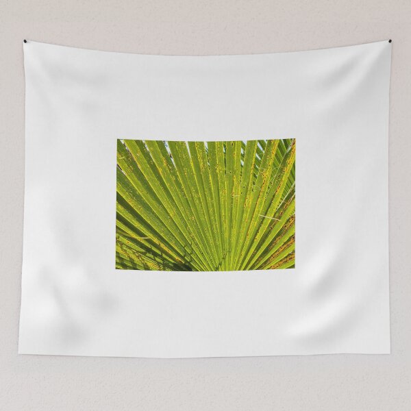 Item preview, Fan designed and sold by Thaddeus Zajdowicz.