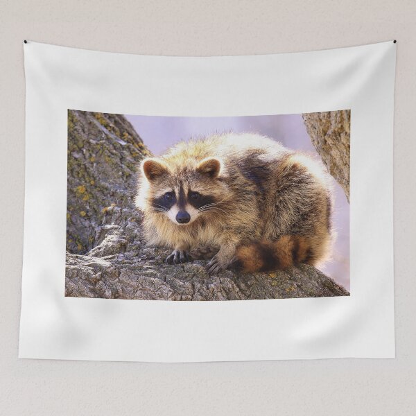 Item preview, Bandit designed and sold by EugeJ.