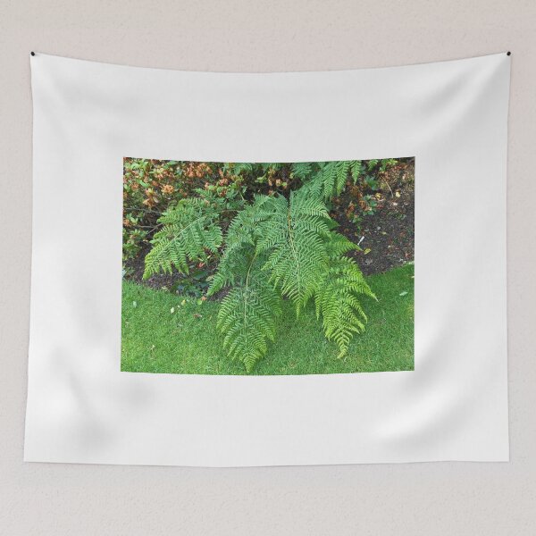 Item preview, A Touch of Green - Beautiful Ferns  designed and sold by Kathryn Jones.