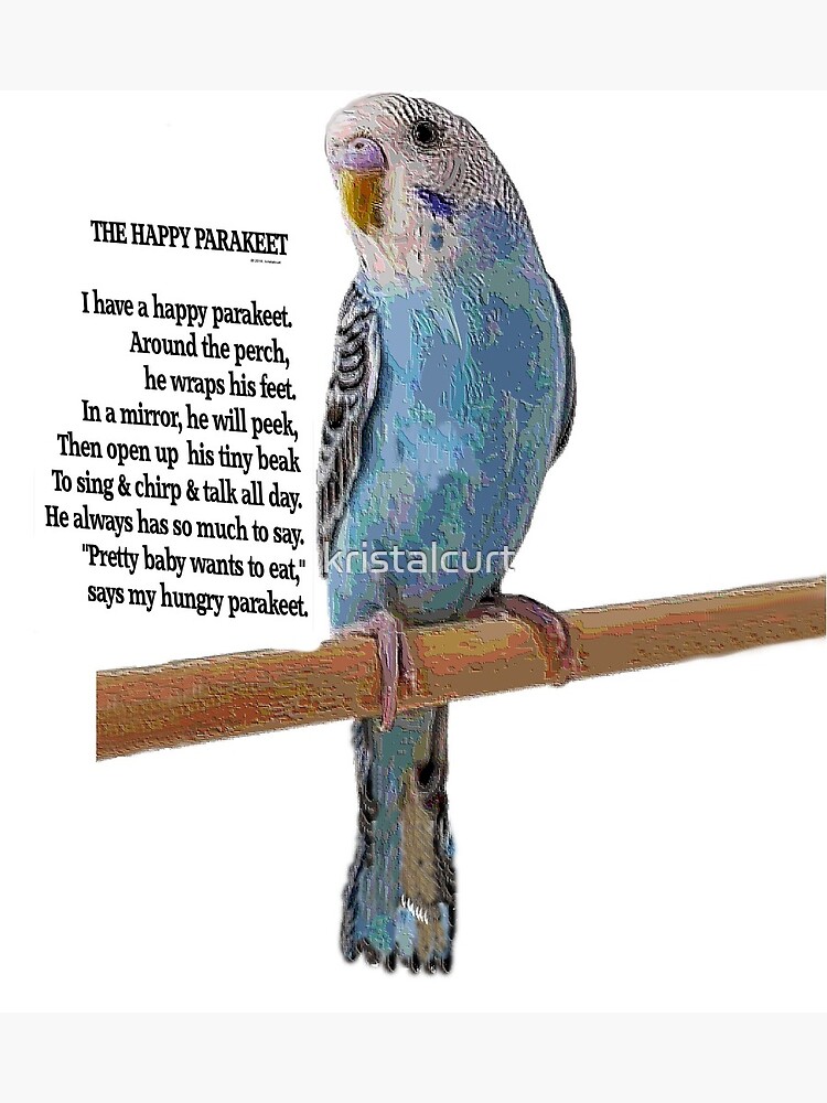 The Happy Parakeet