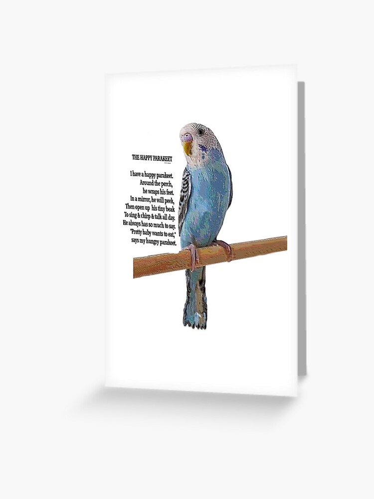 Baby Budgies Greeting Card