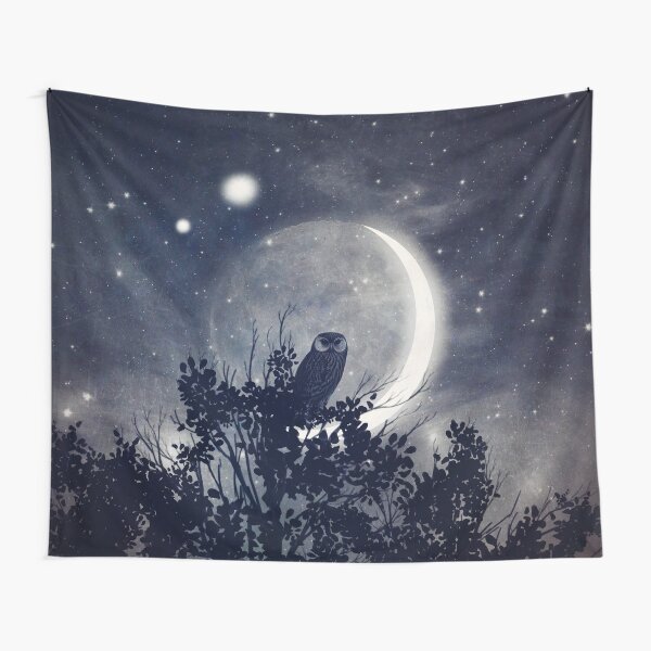 A Night with Venus and Jupiter Tapestry