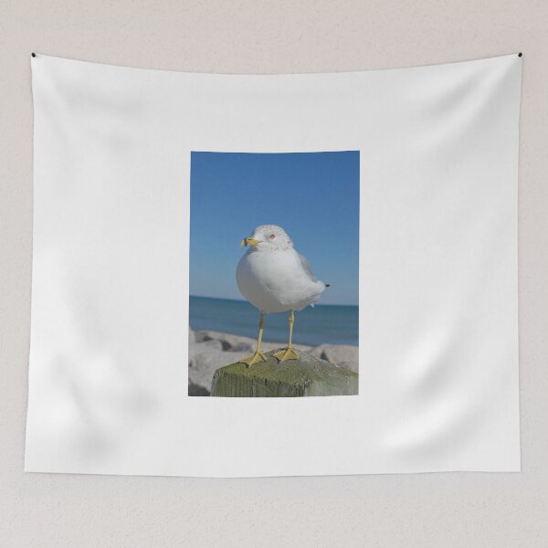 Item preview, Sea Gull Posing designed and sold by Bob Sample.