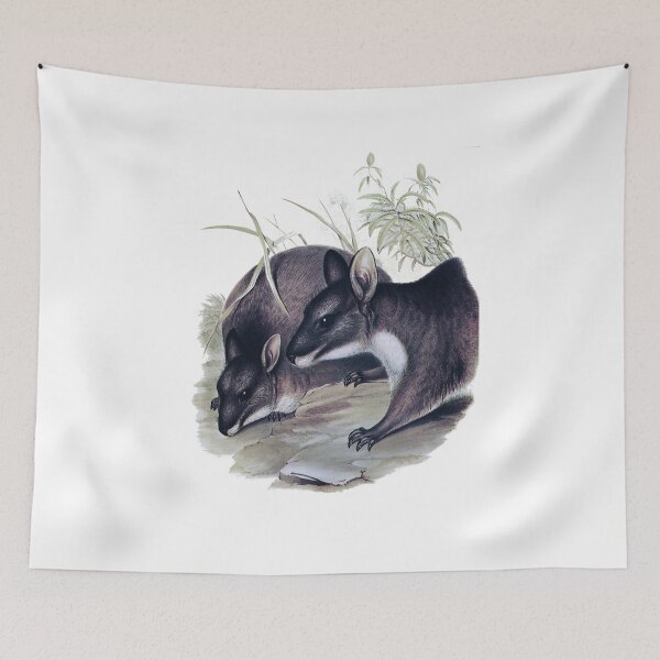 Item preview, The Parma wallaby painting designed and sold by marmur.