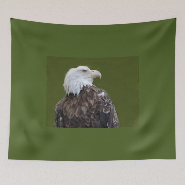 Item preview, American Bald Eagle designed and sold by ginawaltersdorf.