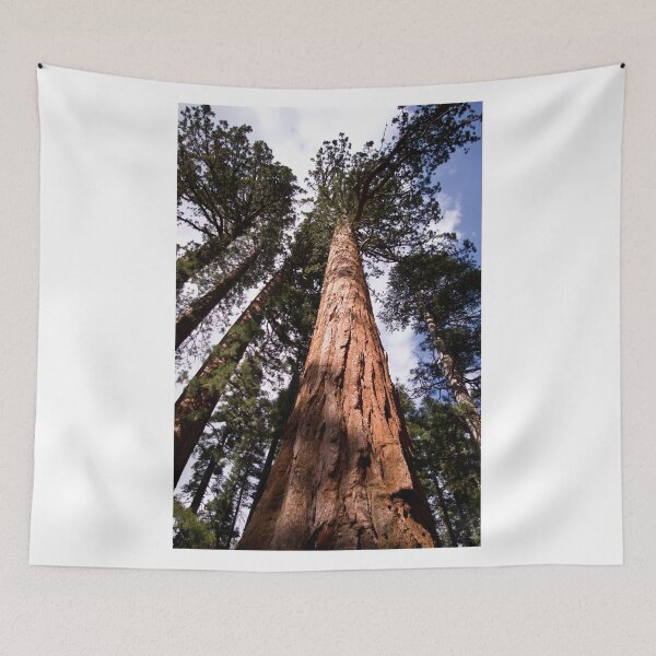 Item preview, Sequoia 2 designed and sold by ejlinkphoto.