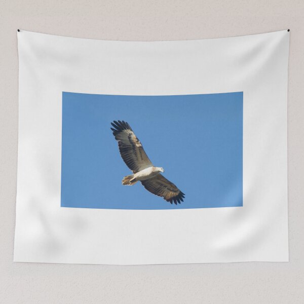 Item preview, Surveillance designed and sold by byronbackyard.