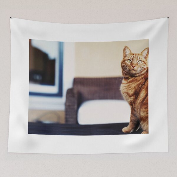 Item preview, Orange Gato designed and sold by mamisarah.