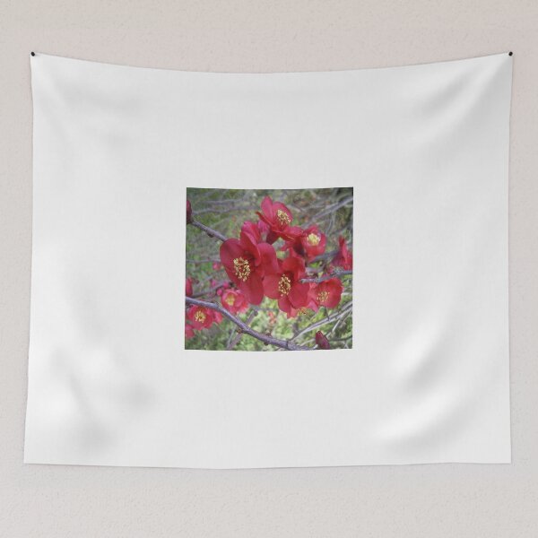 Item preview, Japonica designed and sold by Caroline Everett.