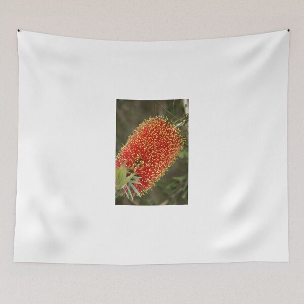 Item preview, Calistemon- Red Bottle Brush flower designed and sold by Jaycee2009.