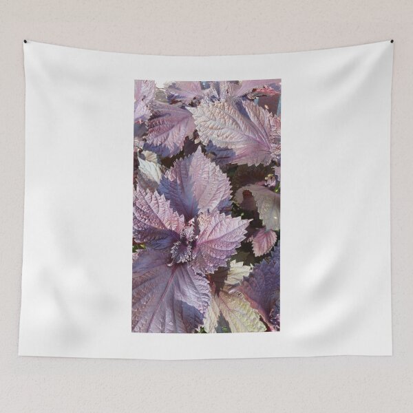 Item preview, Glorious Purple Basil designed and sold by ArtByDrax.