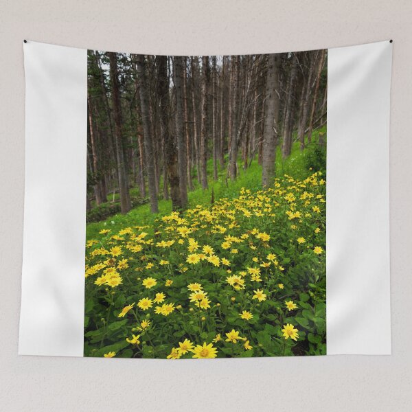 Item preview, After designed and sold by Chad Dutson.