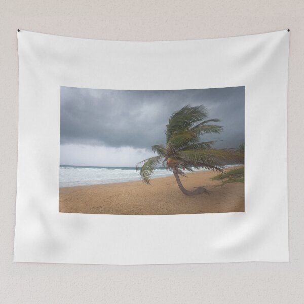 Item preview, Windswept Palm tree designed and sold by Leighton Collins.