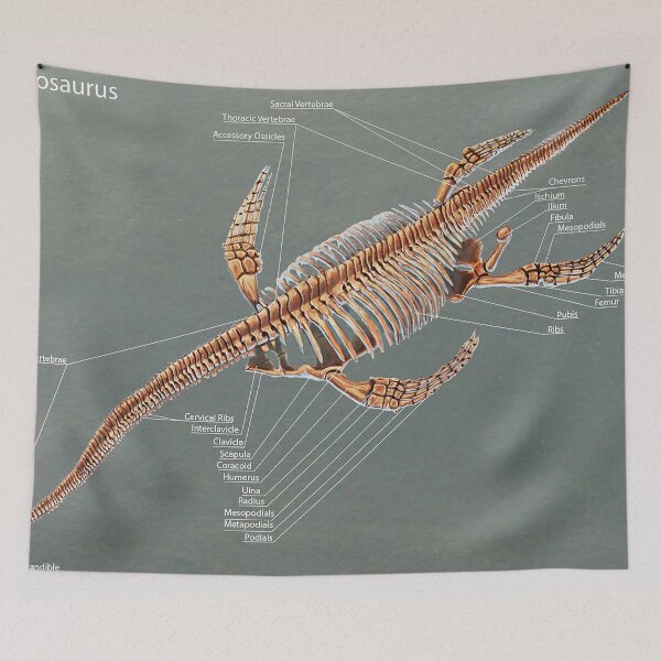 Item preview, Elasmosaurus Skeleton Study designed and sold by Thedragonofdoom.