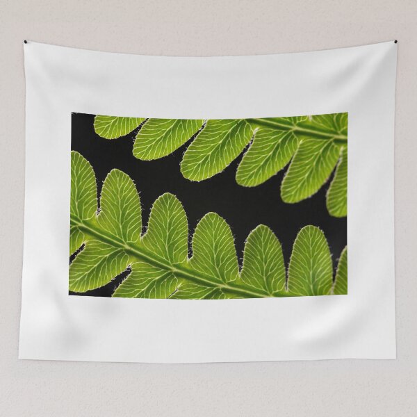 Item preview, Macro photo of a bracken fern leaf  designed and sold by Zosimus.