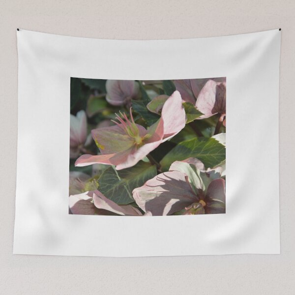 Item preview, PALE PINK HELLEBORUS designed and sold by kazaroodie.