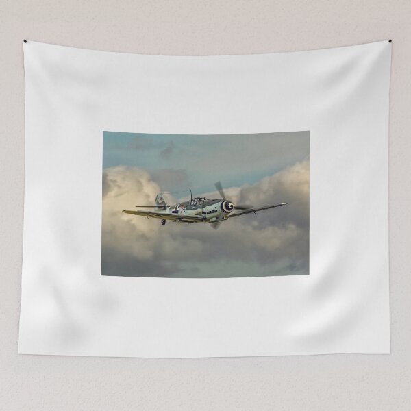 Item preview, Messerschmitt Bf109G-4 "Gustav" D-FWME "Rote Sieben" designed and sold by Colin Smedley.