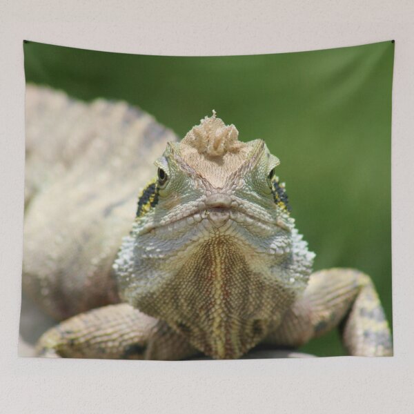 Item preview, Australian Eastern Water Dragon designed and sold by mokacat.