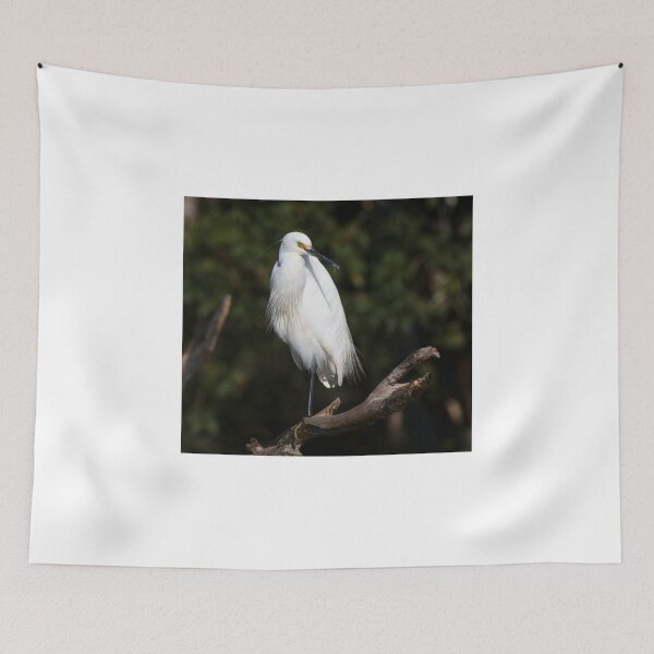 Item preview, Breeding Plumage designed and sold by byronbackyard.