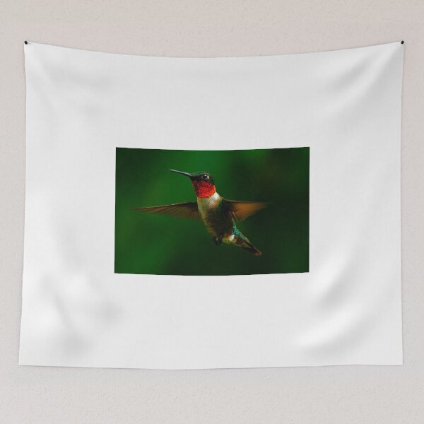 Item preview, Ruby Throated Humming Bird designed and sold by purelightimages.