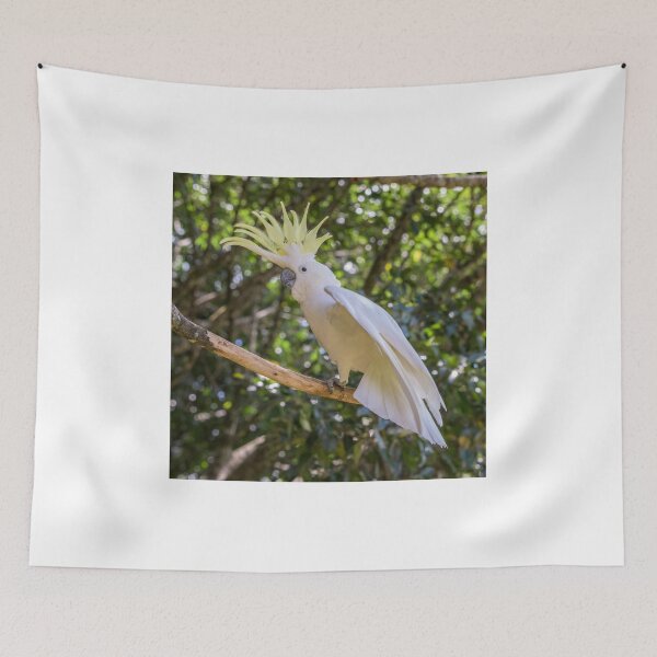 Item preview, Cockatoo 1 designed and sold by Jensphotos.
