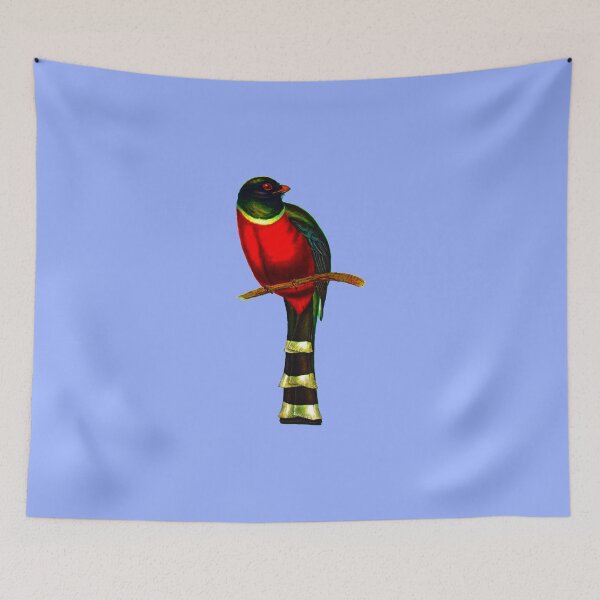 Item preview, The mountain trogon (Trogon mexicanus) designed and sold by marmur.