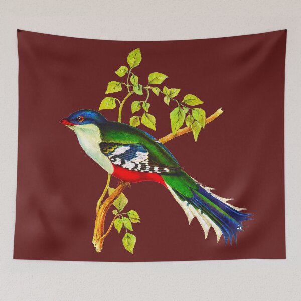 Item preview, Illustration of The Cuban trogon or tocororo designed and sold by marmur.