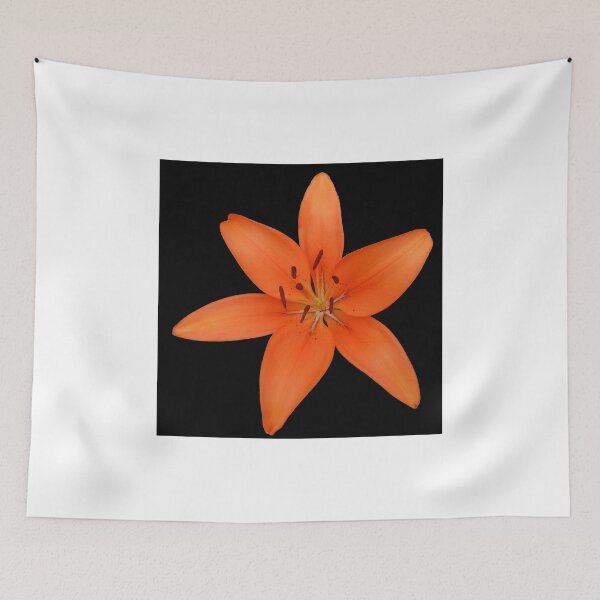 Aperçu de l'œuvre Orange Lily On Black Background créée et vendue par BlueMoonRose.