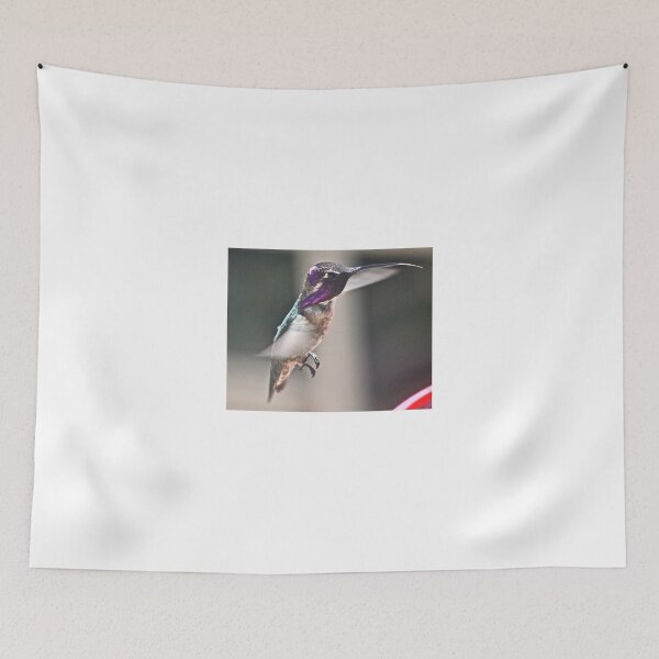 Item preview, MALE WHITE-EARED HUMMINGBIRD GETTING NOURISHMENT FROM FEEDER designed and sold by JAYMILO.