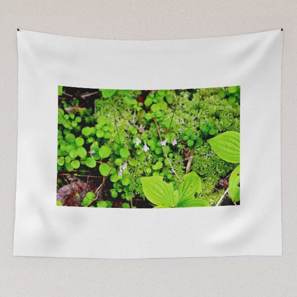 Item preview, Twinflower designed and sold by Kathleen Daley.
