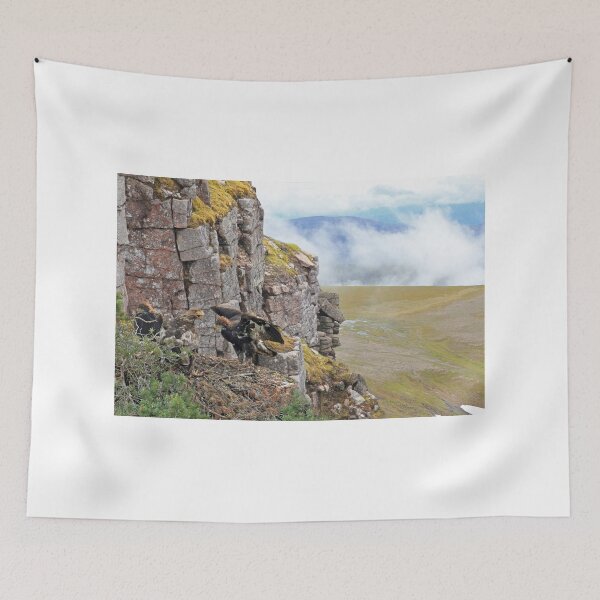 Item preview, Golden Eagle designed and sold by sandysshoots.