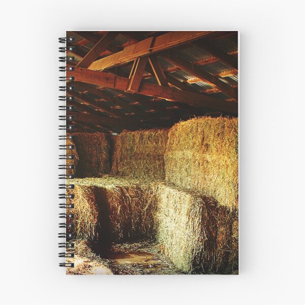 Item preview, Hey! It's Hay designed and sold by Claude Johnson.