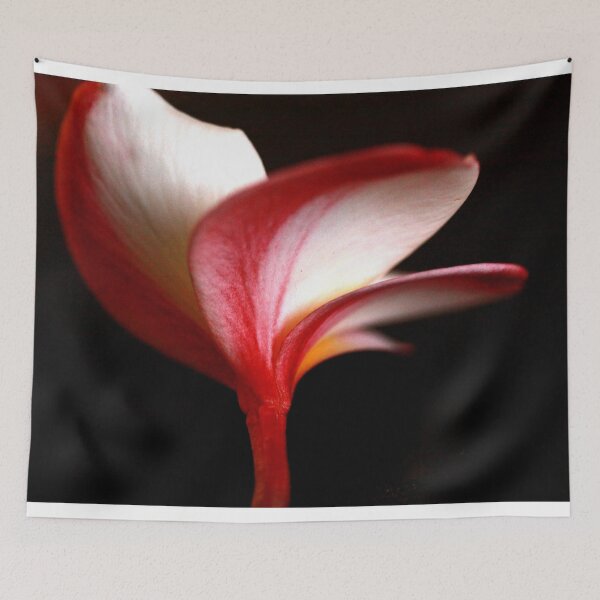 Item preview, bicolor frangipani designed and sold by lensbaby.