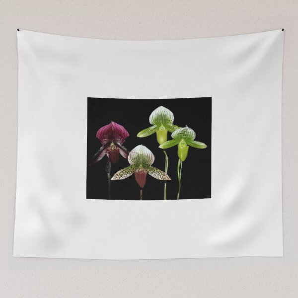 Item preview, Lady Slipper Orchids. designed and sold by vette.