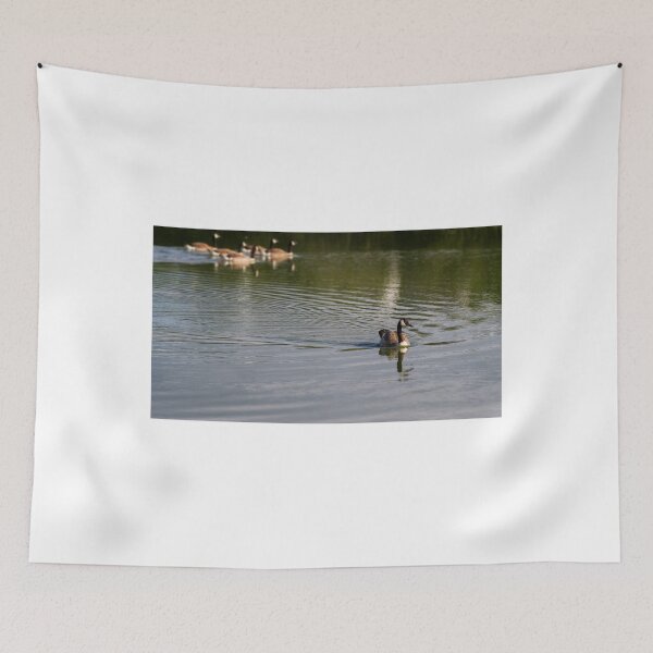 Item preview, Canada Goose,Par duck pond,Cornwall designed and sold by Lucy Davey.