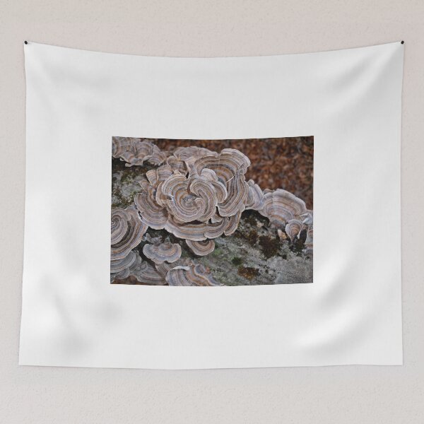 Item preview, Flowers  designed and sold by Paul Lubaczewski.