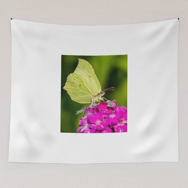 Item preview, Butterfly taking a snack designed and sold by Mark Bangert.