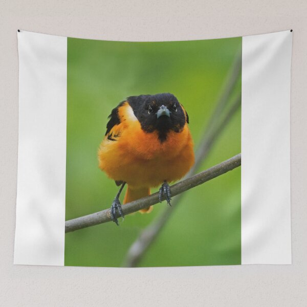 Item preview, The Baltimore Oriole Look designed and sold by WorldDesign.