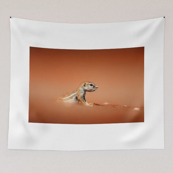 Item preview, Ground squirrel on red desert sand designed and sold by Johan Swanepoel.