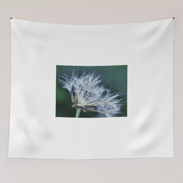 Item preview, Gouttes d'eau sur pissenlit tons de bleu vert designed and sold by Sylvie Villeneuve.