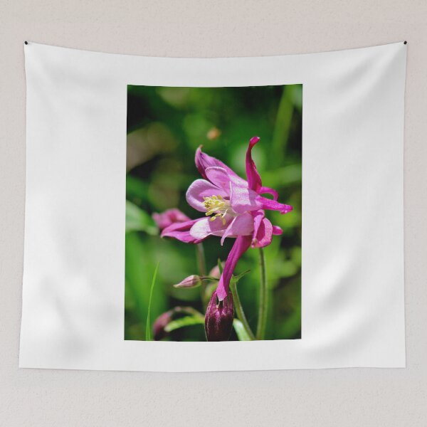 Item preview, Common Columbine (Wild Pink) designed and sold by Kathleen Daley.