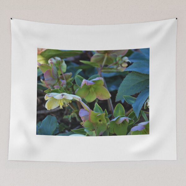 Item preview, HELLEBORUS designed and sold by kazaroodie.