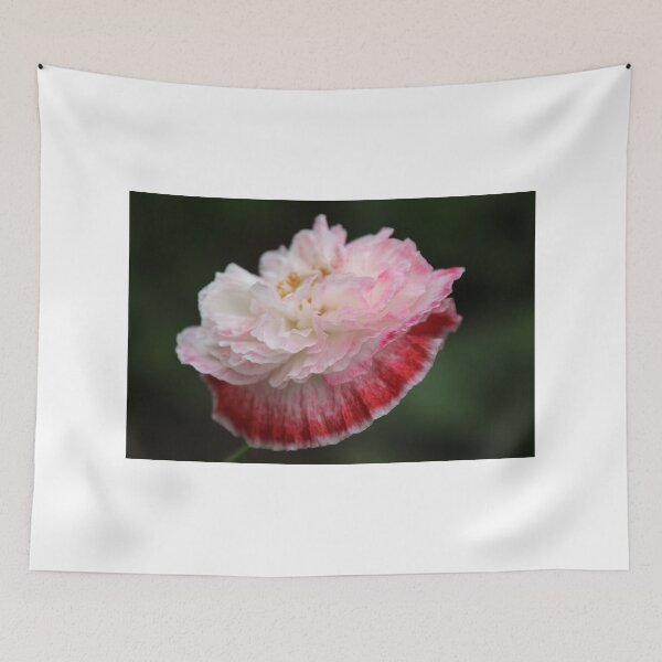 Item preview, Prima Ballerina designed and sold by karina5.