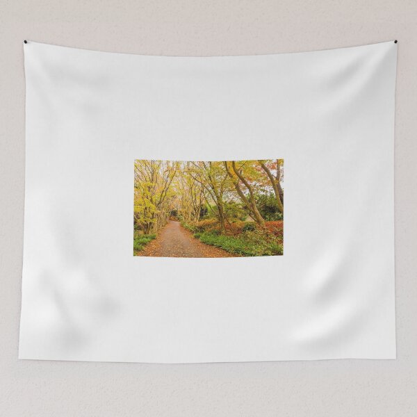 Item preview, Autumn forest in Japan designed and sold by kawing921.