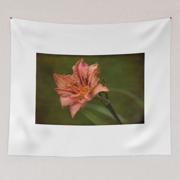 Item preview, lily hemerocallis pink damask designed and sold by eddiej.