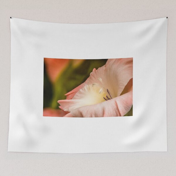 Item preview, Gladiolus designed and sold by Jim Key.