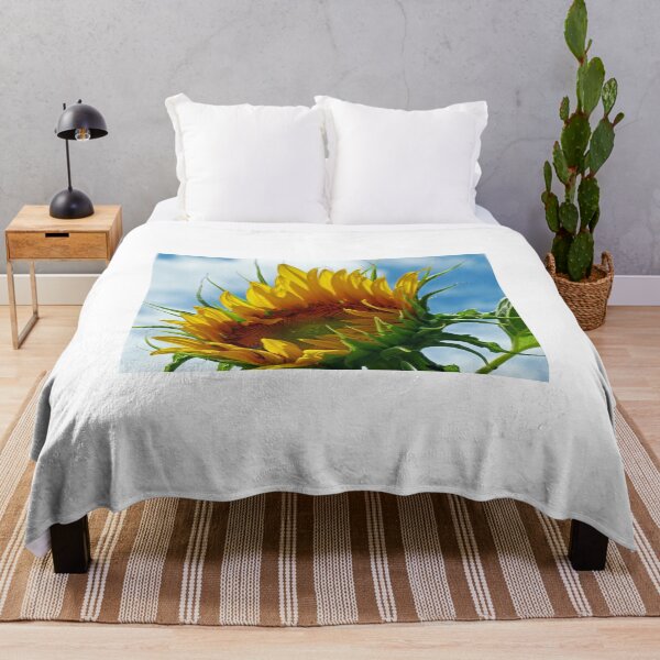 Item preview, Looking Towards the Sun designed and sold by Frankie Cat Photography.