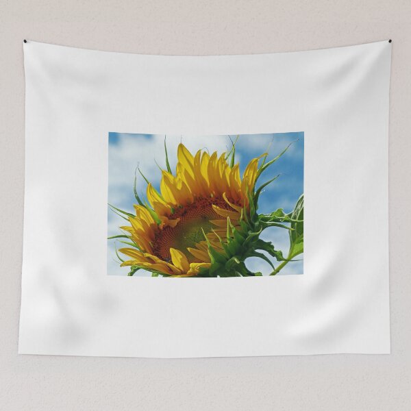 Item preview, Looking Towards the Sun designed and sold by Frankie Cat Photography.