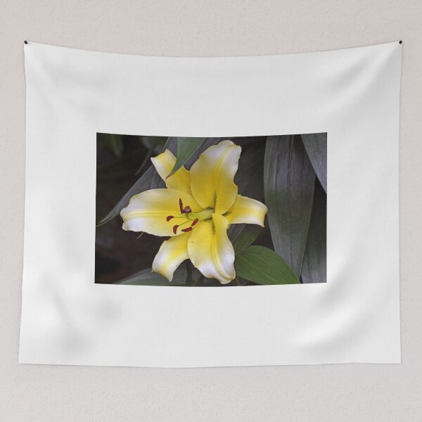Item preview, Large Lemon Lily........... designed and sold by lynn carter.